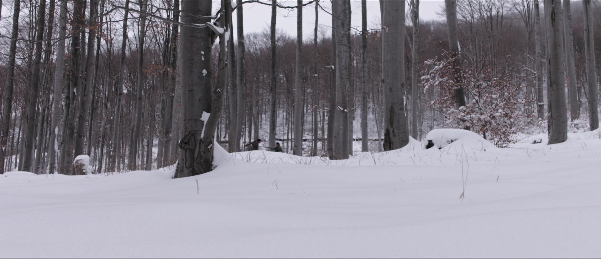 Bãhubali: The Beginning (2015), wide, 2.32:1 — film still