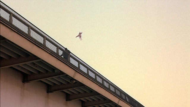Frame from Anchorman: The Legend of Ron Burgundy — bird, building