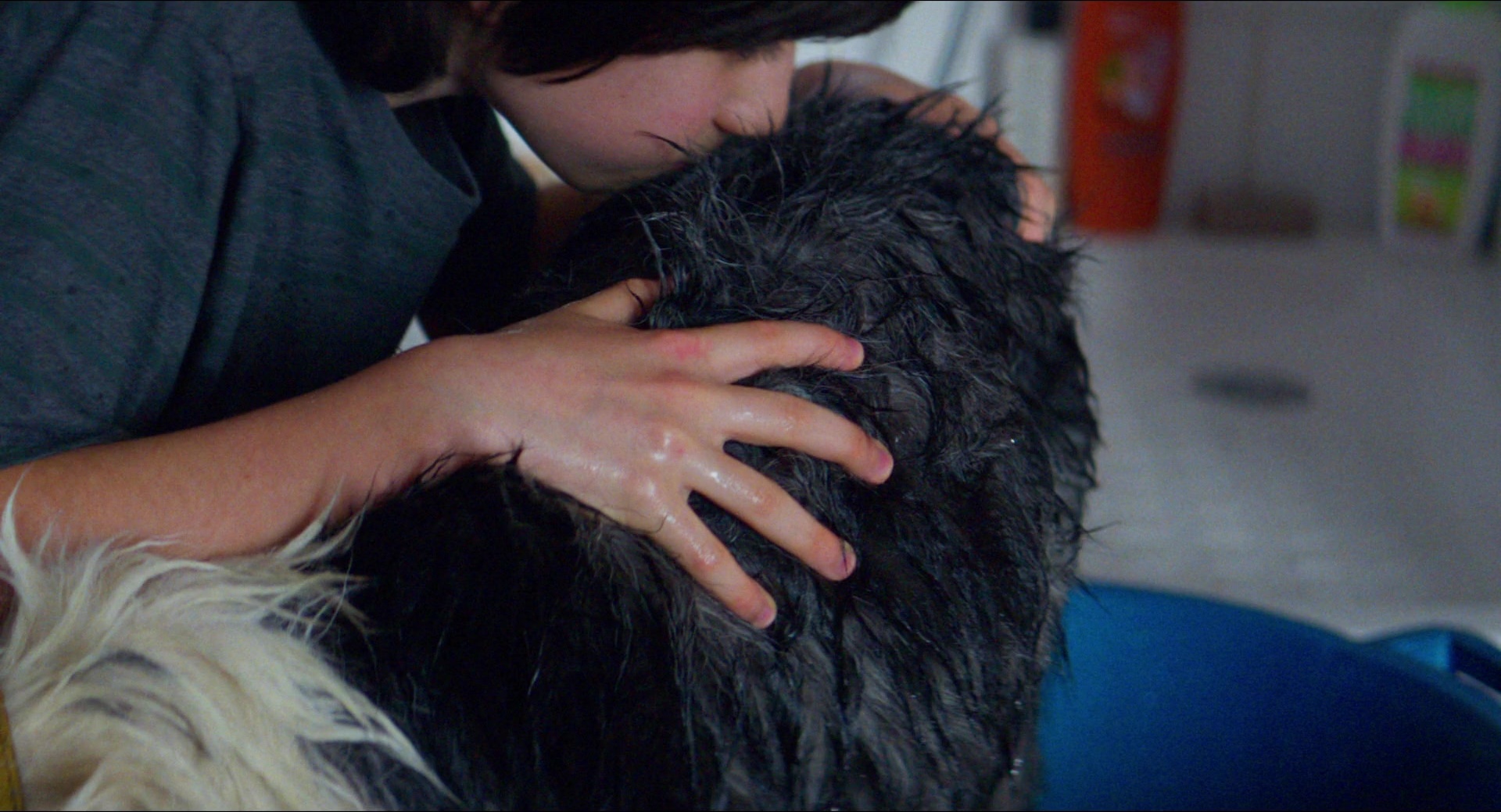 Anatomie d'une chute (2023), wide, 1.85:1 — film still