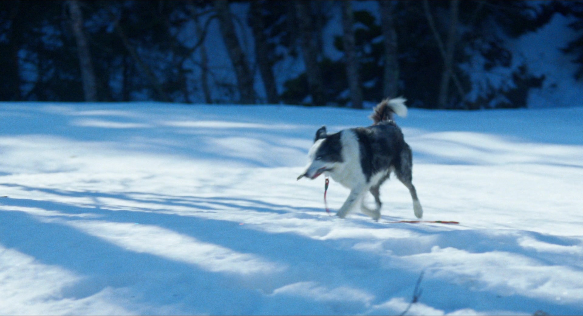 Anatomie d'une chute (2023), wide, 1.85:1 — film still