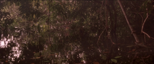 Wide shot frame from Anaconda — mirror, night, water