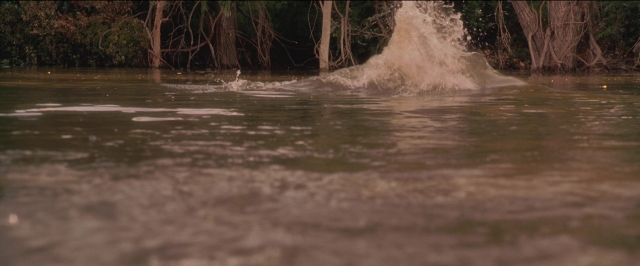 Frame from Anaconda — water, fountain