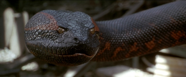 Anaconda — film still
