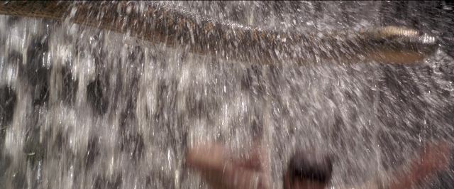 Frame from Anaconda — water, fountain
