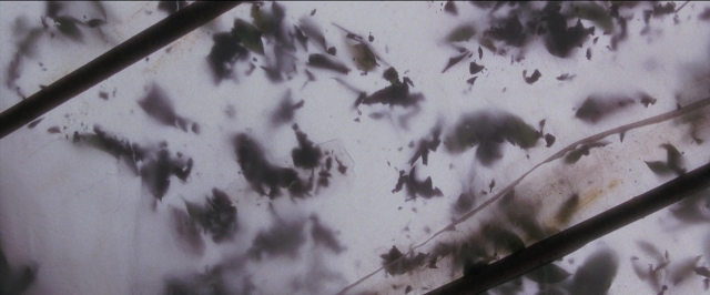 Anaconda — film still