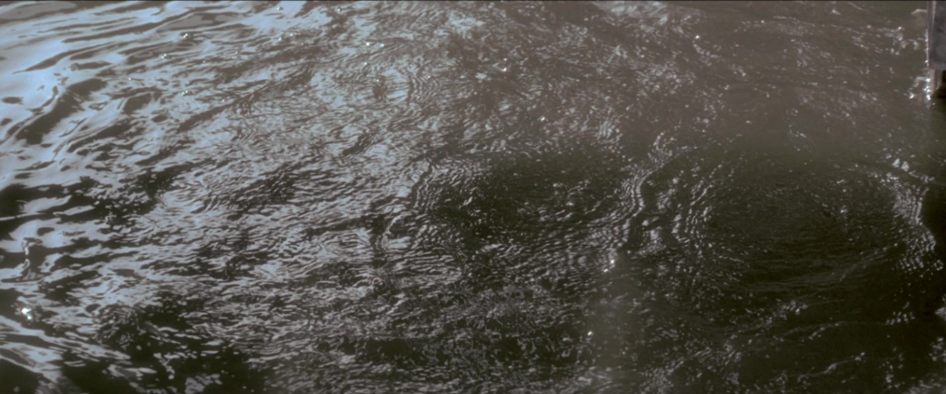 Anaconda (1997), wide, 2.40:1 — film still