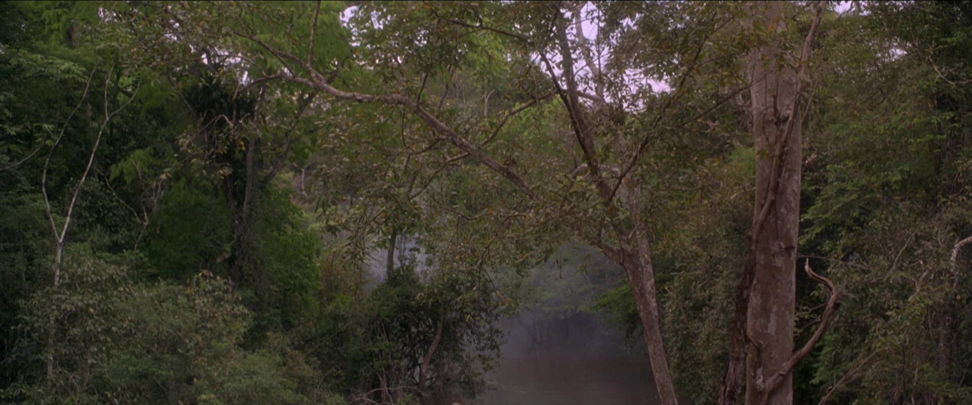 Anaconda (1997), wide, 2.40:1 — film still