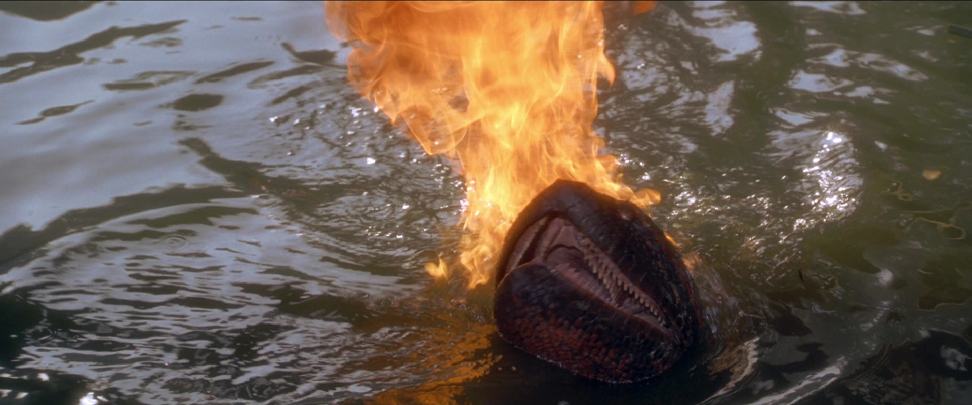 Anaconda (1997), wide, 2.40:1 — film still