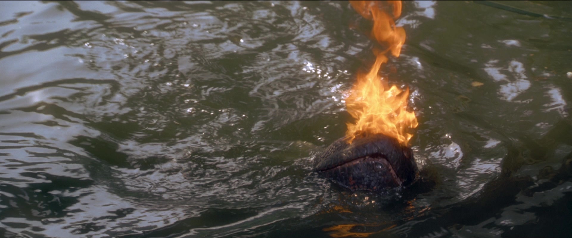Anaconda (1997), unknown, 2.40:1 — film still
