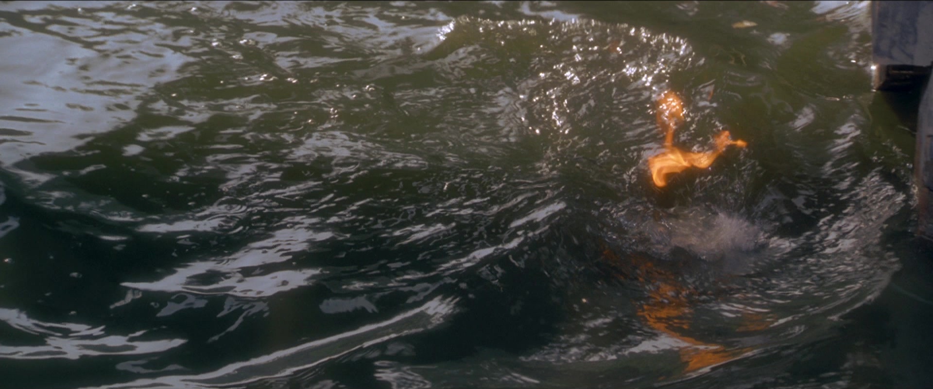 Anaconda (1997), wide, 2.40:1 — film still