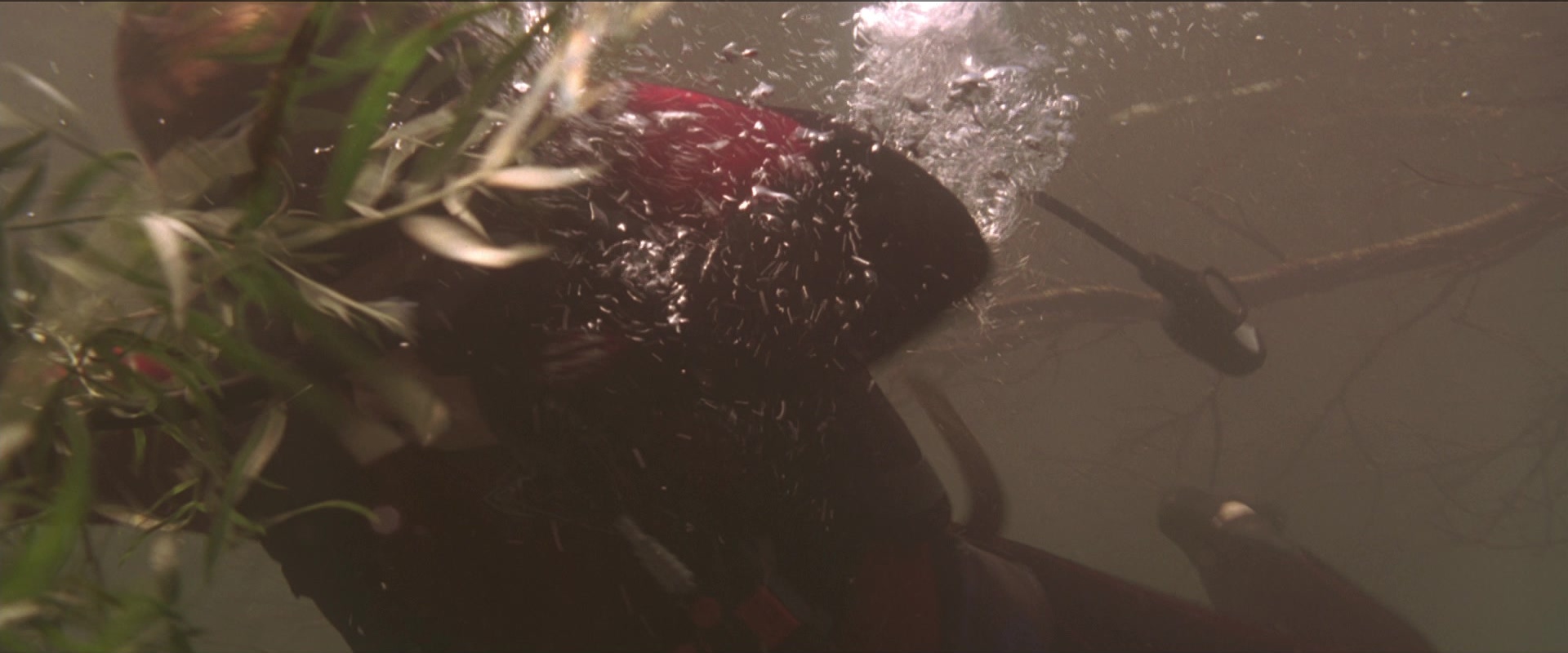 Anaconda (1997), unknown, 2.40:1 — film still