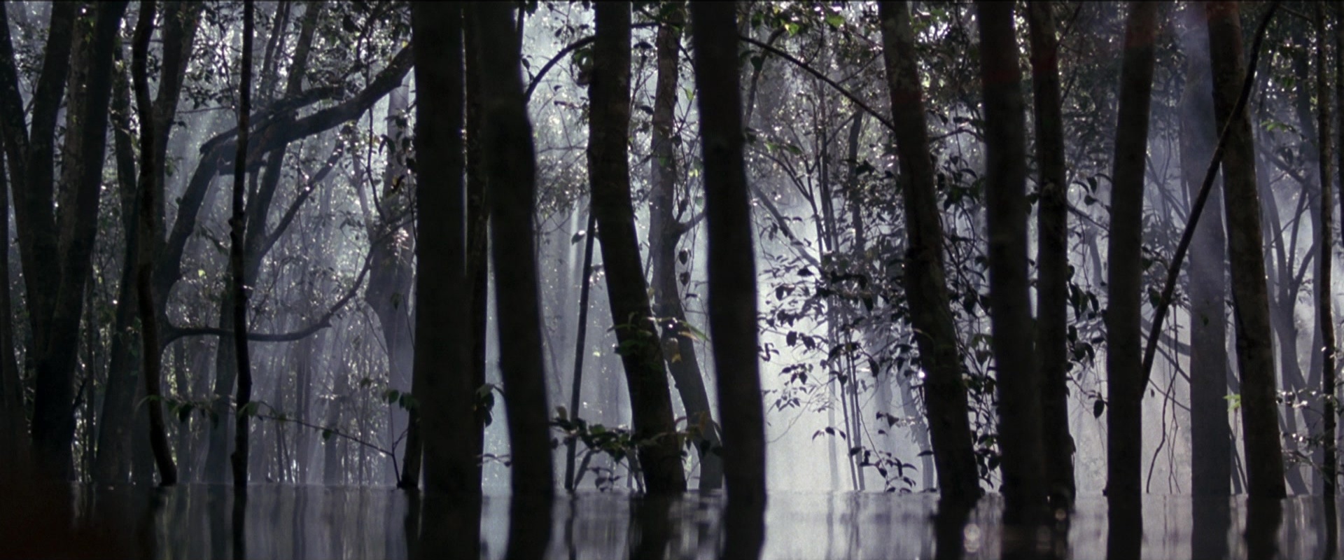 Anaconda (1997), wide, 2.40:1 — film still