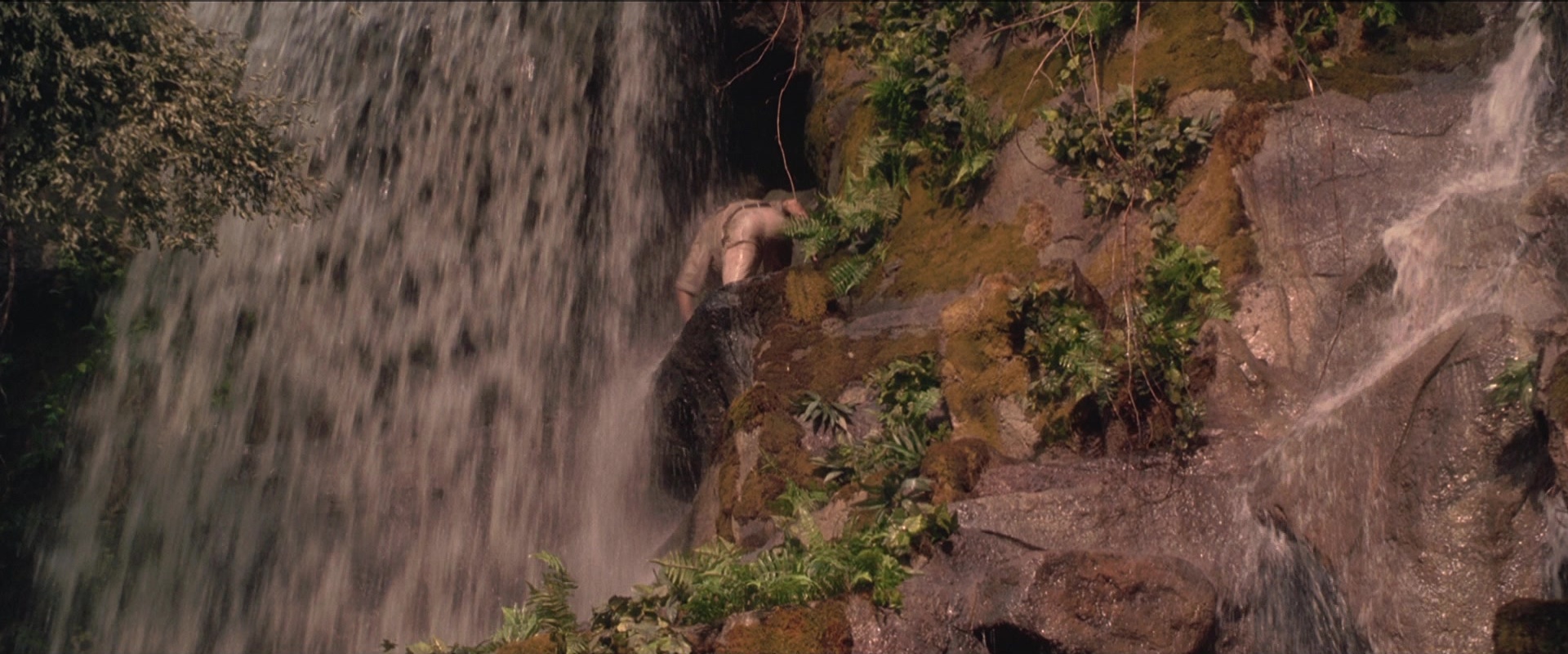 Anaconda (1997), wide, 2.40:1 — film still