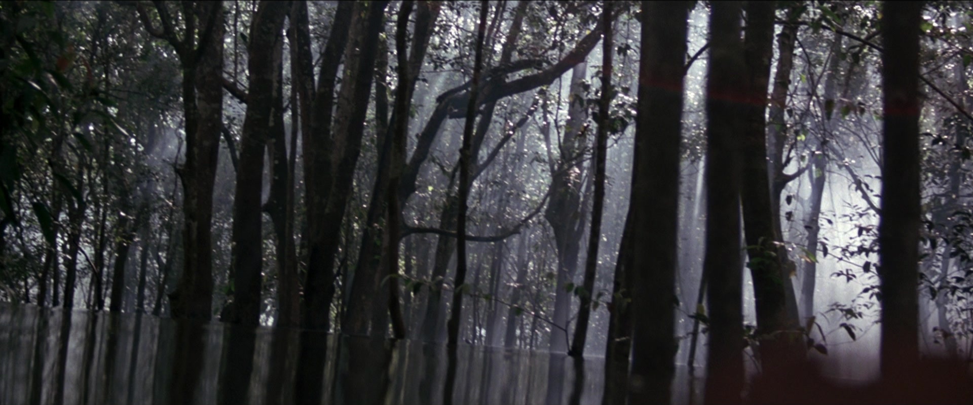 Anaconda (1997), wide, 2.40:1 — film still