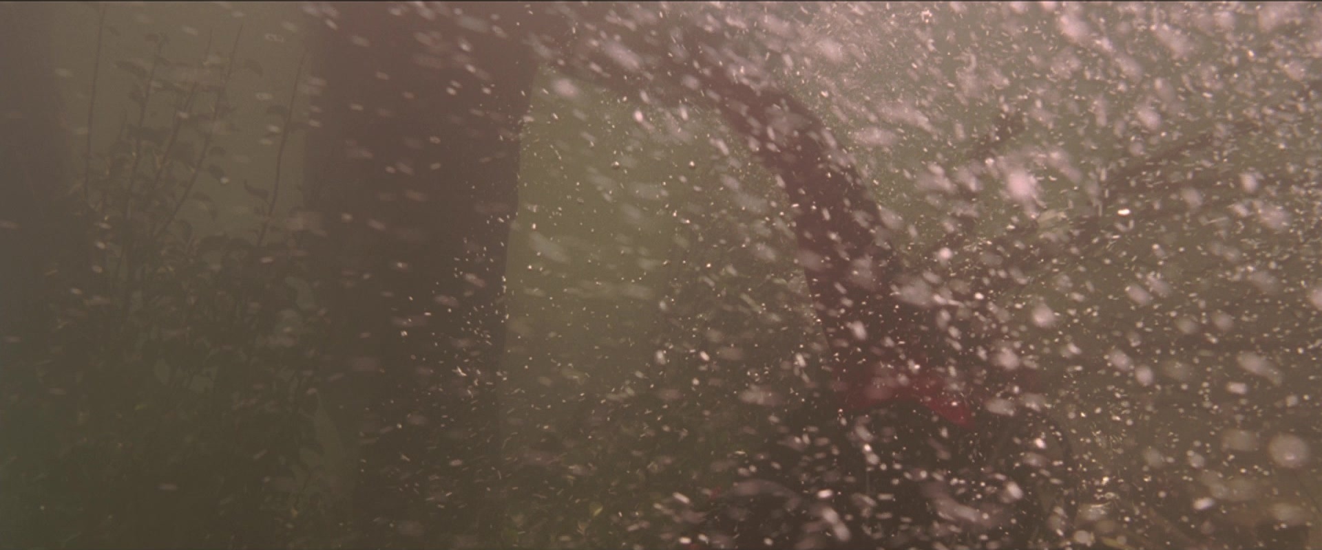 Anaconda (1997), wide, 2.40:1 — film still