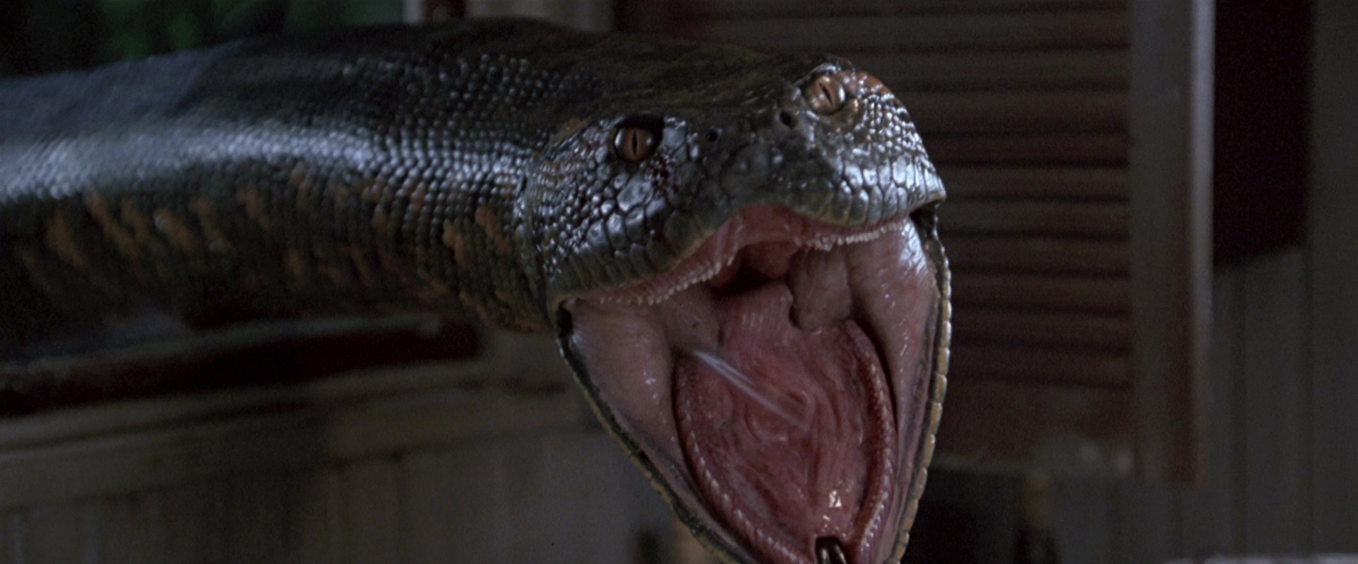 Anaconda (1997), wide, 2.41:1 — film still