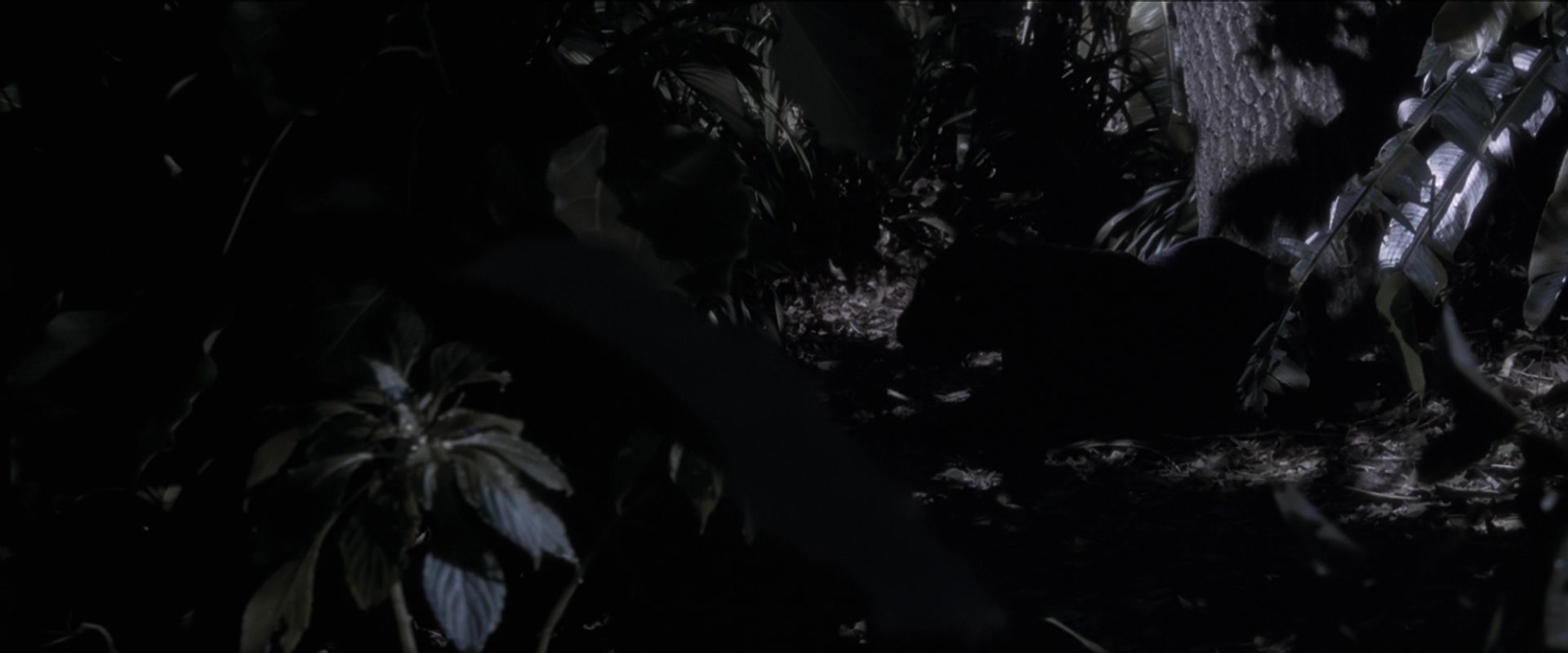Anaconda (1997), wide, 2.40:1 — film still