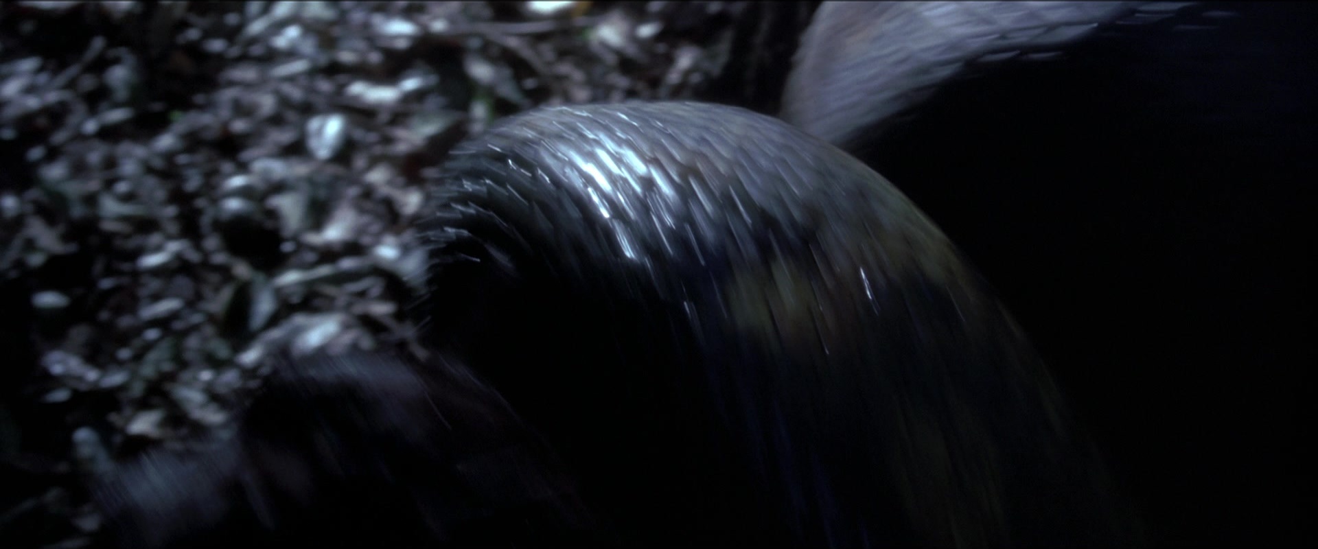 Anaconda (1997), wide, 2.40:1 — film still