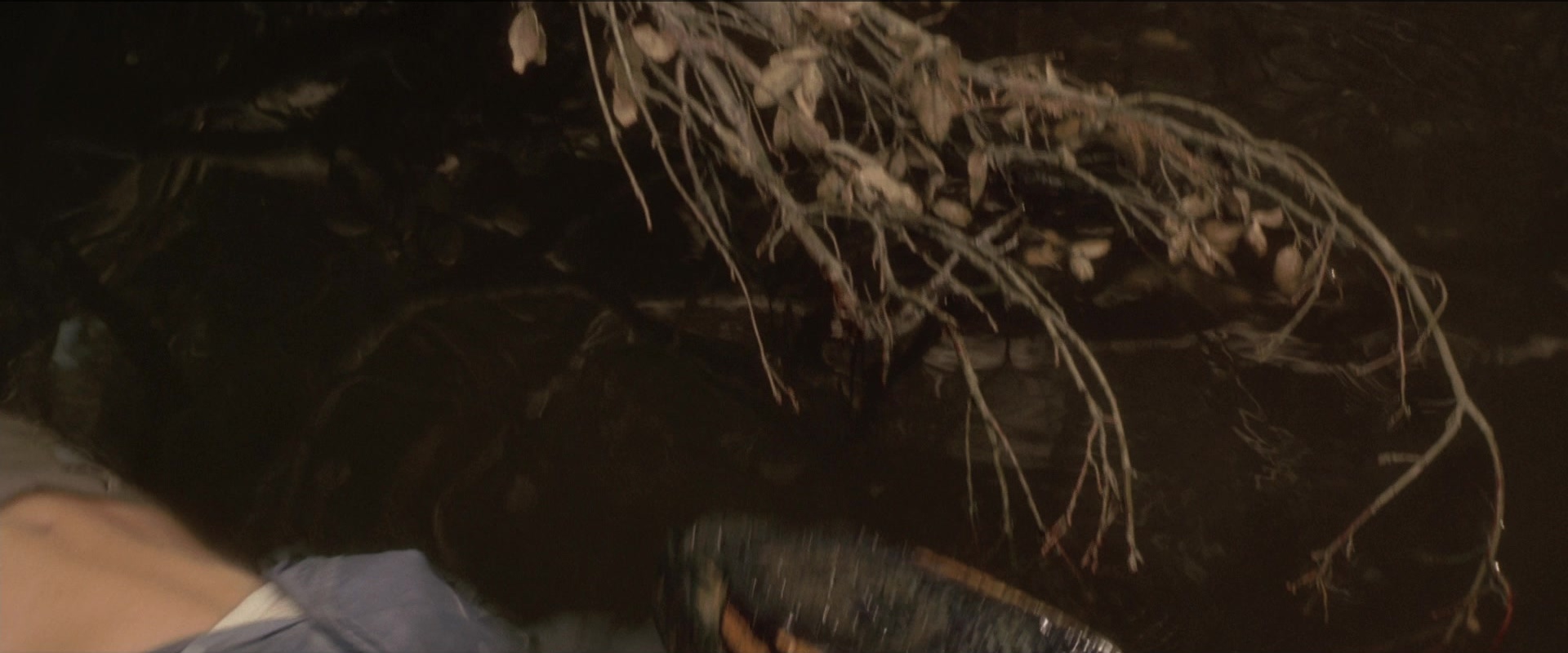 Anaconda (1997), wide, 2.40:1 — film still