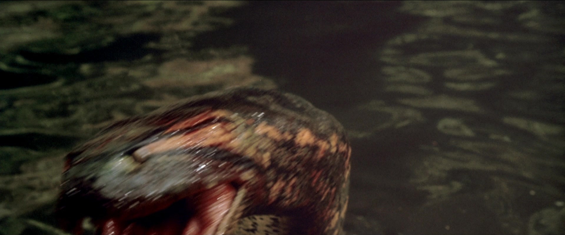 Anaconda (1997), unknown, 2.40:1 — film still