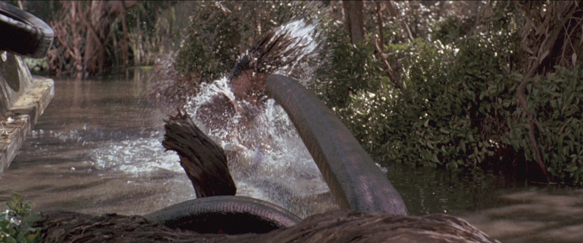Anaconda (1997), wide, 2.40:1 — film still