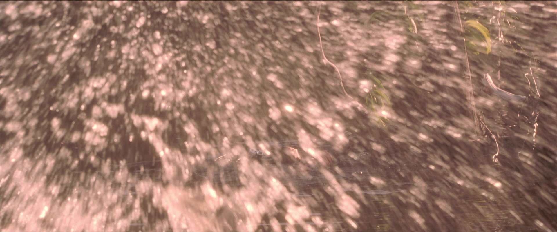 Anaconda (1997), wide, 2.40:1 — film still