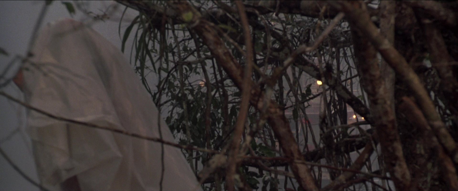 Anaconda (1997), wide, 2.40:1 — film still