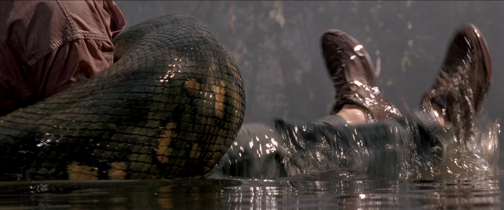 Anaconda (1997), wide, 2.40:1 — film still