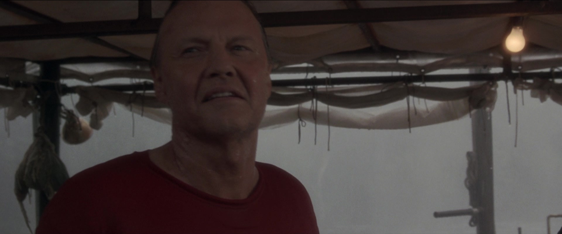 Anaconda (1997), medium, 2.40:1 — film still