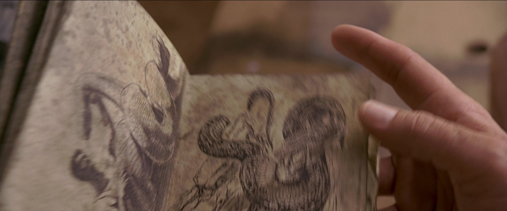 Anaconda (1997), unknown, 2.40:1 — film still