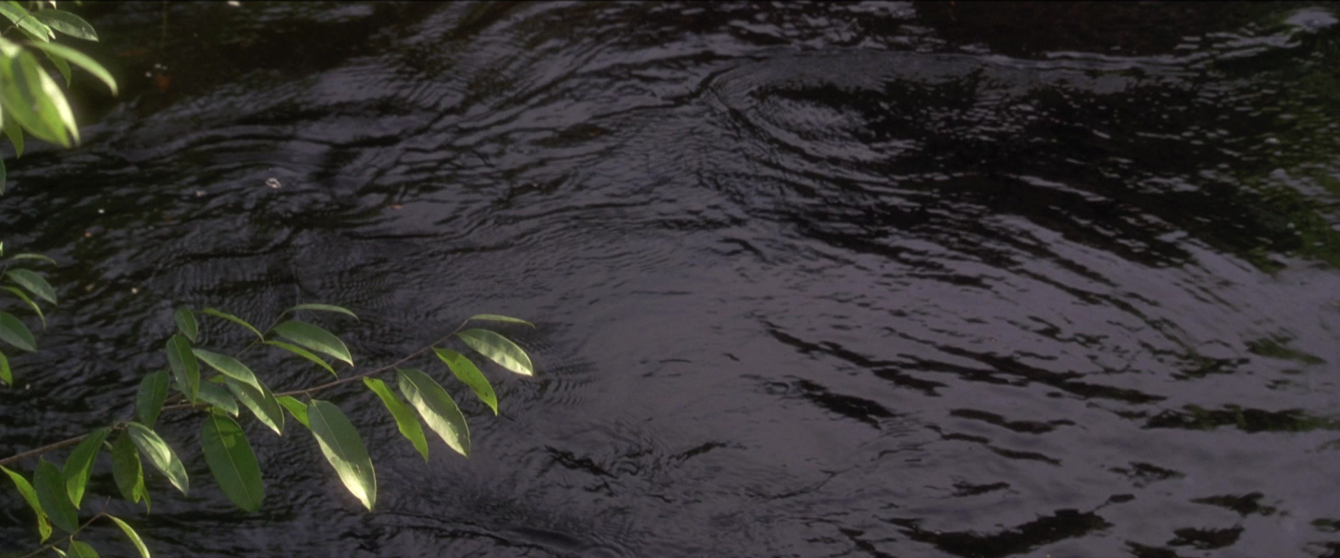 Anaconda (1997), unknown, 2.40:1 — film still