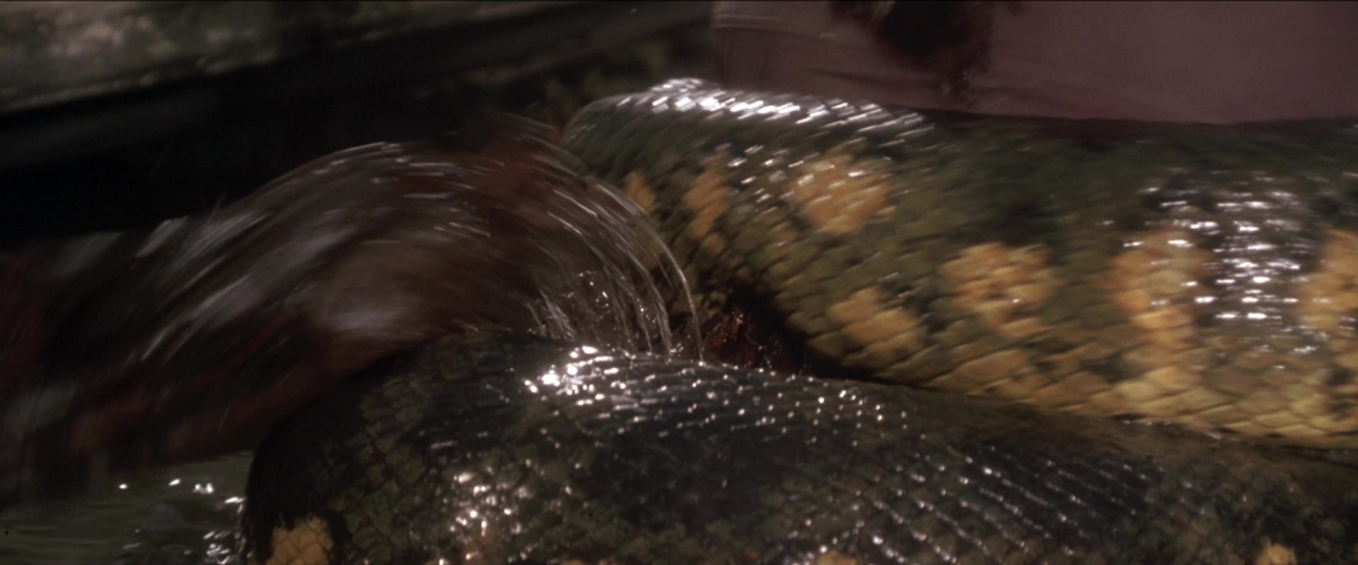 Anaconda (1997), unknown, 2.40:1 — film still