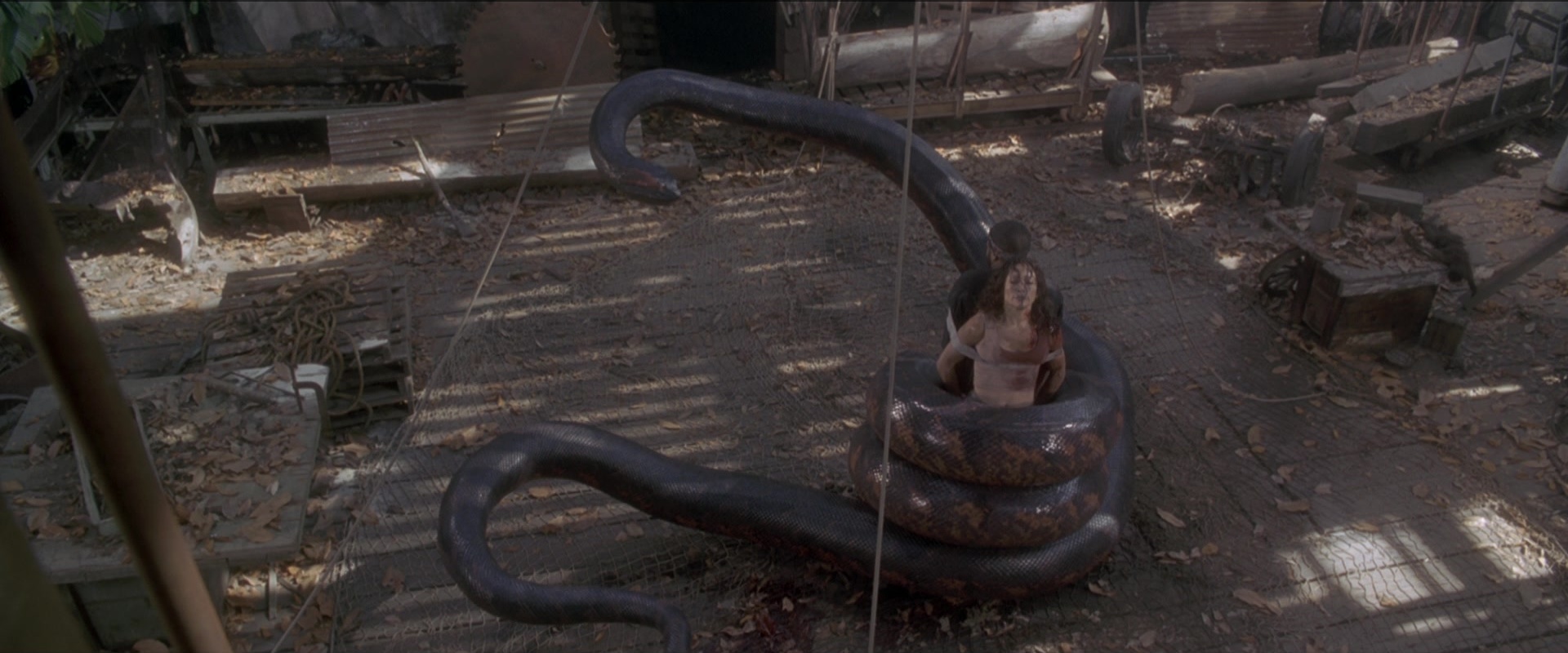 Anaconda (1997), wide, 2.40:1 — film still