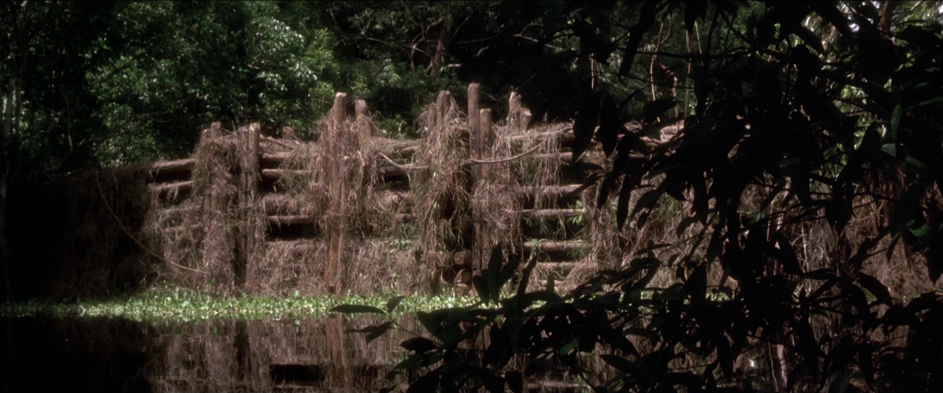 Anaconda (1997), unknown, 2.40:1 — film still