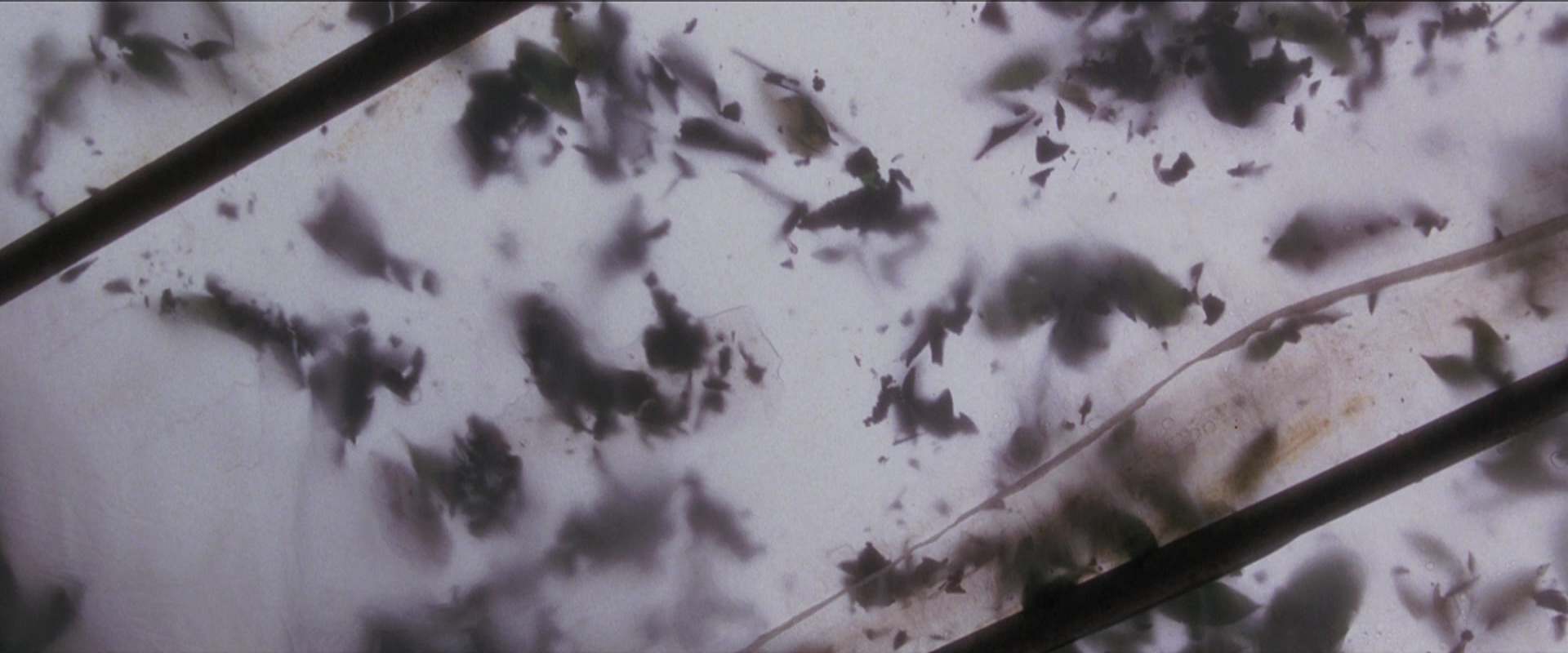 Anaconda (1997), wide, 2.40:1 — film still