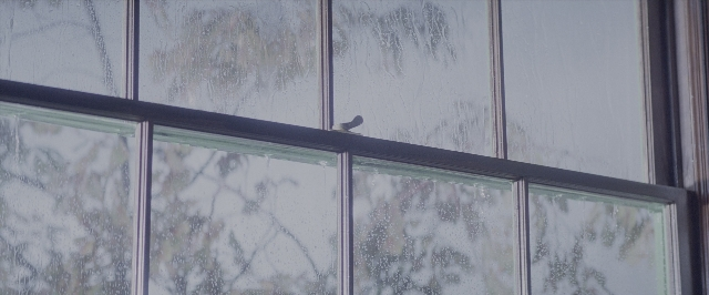 Wide shot frame from A Few Good Men — glass, bird, window