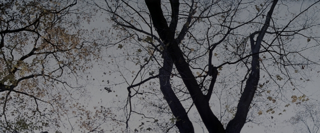 Wide shot frame from A Few Good Men — bird
