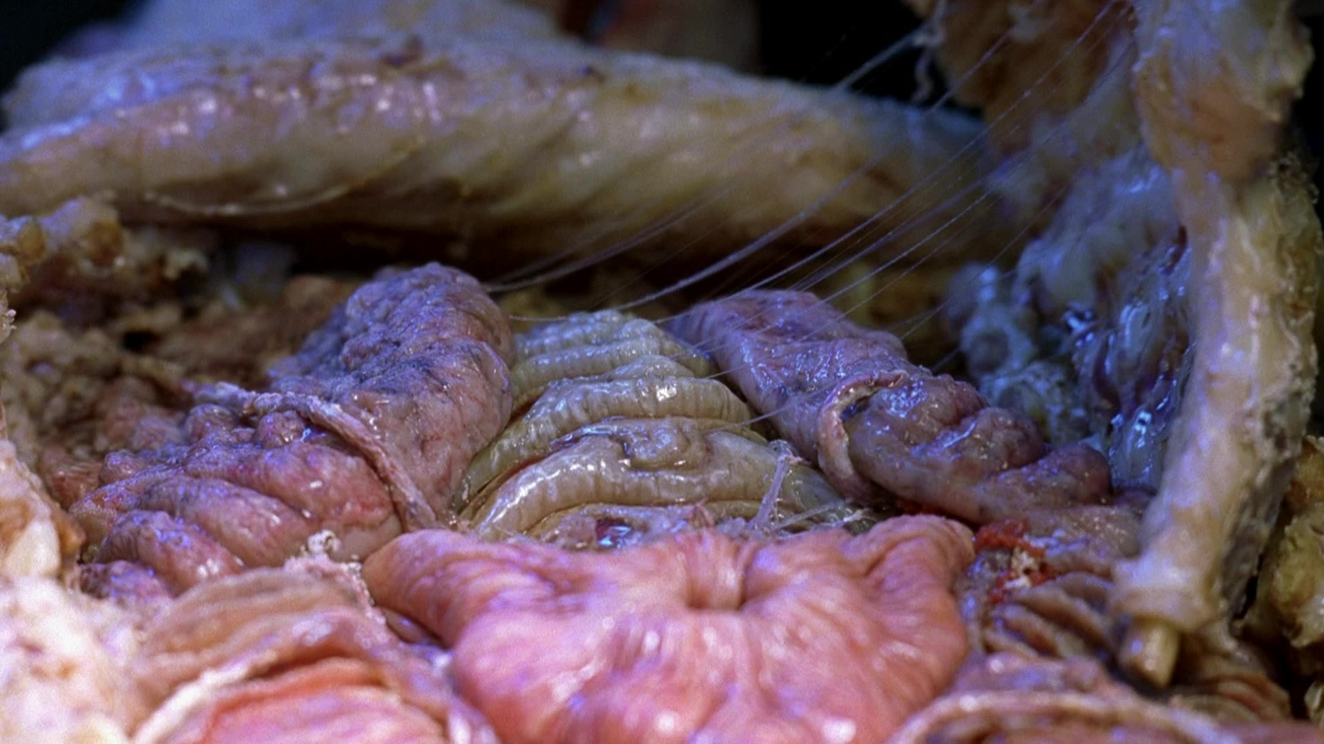 Blade II (2002), wide, 1.78:1 — film still
