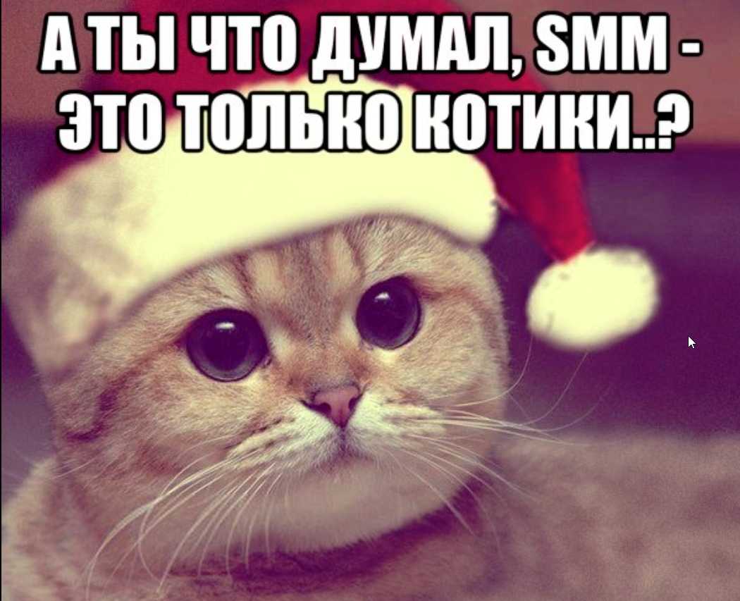 zqOl9Hdu