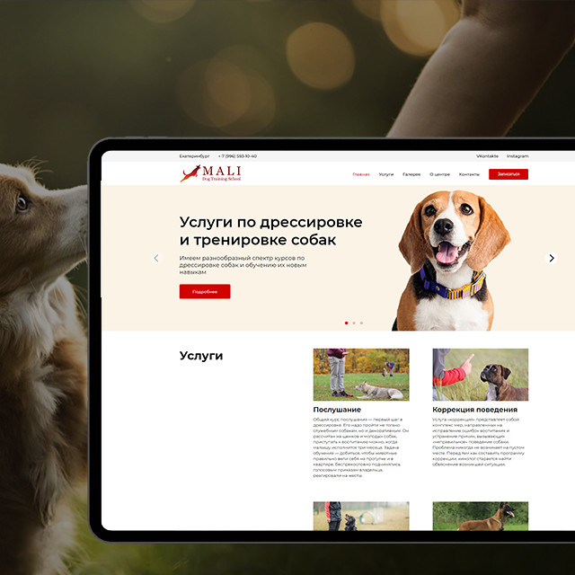 MALI DTS - обложка