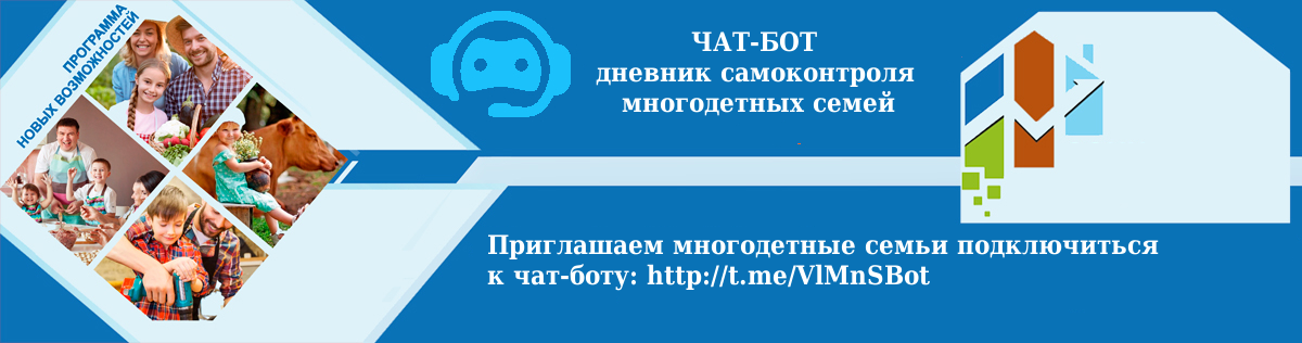 чат-бот Многодетные семьи чатбот3.png
