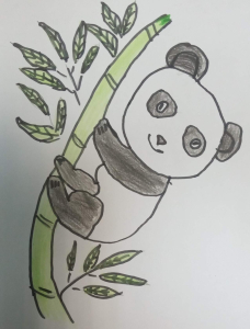 Виртуальные прогулки по зоопаркам