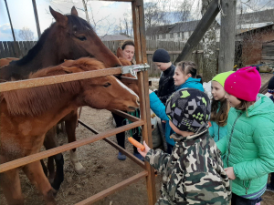 Дети, состоящие на учете в ЕБД ДеСОП и дети из многодетных семей г. Костерево посетили домашнюю конюшню, расположенную по ул. Октябрьской г. Костерево.