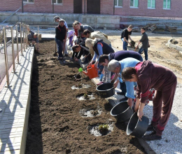 Кружок «Любимый дворик»