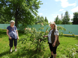 Праздник Святой Троицы