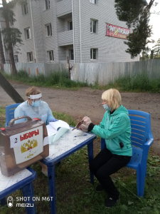 Выборы, поправки в Конституцию 2020 г.