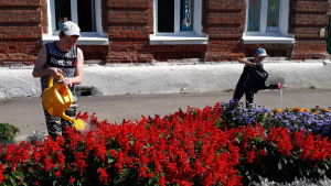 Наша клумба - загляденье!