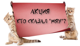 Без кота и жизнь не та