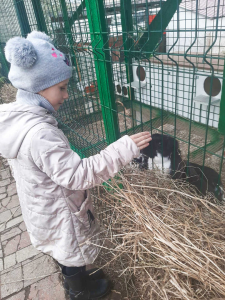 Социальный туризм