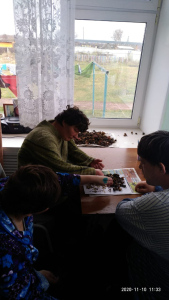 "Гарденотерапия" сбор семян 